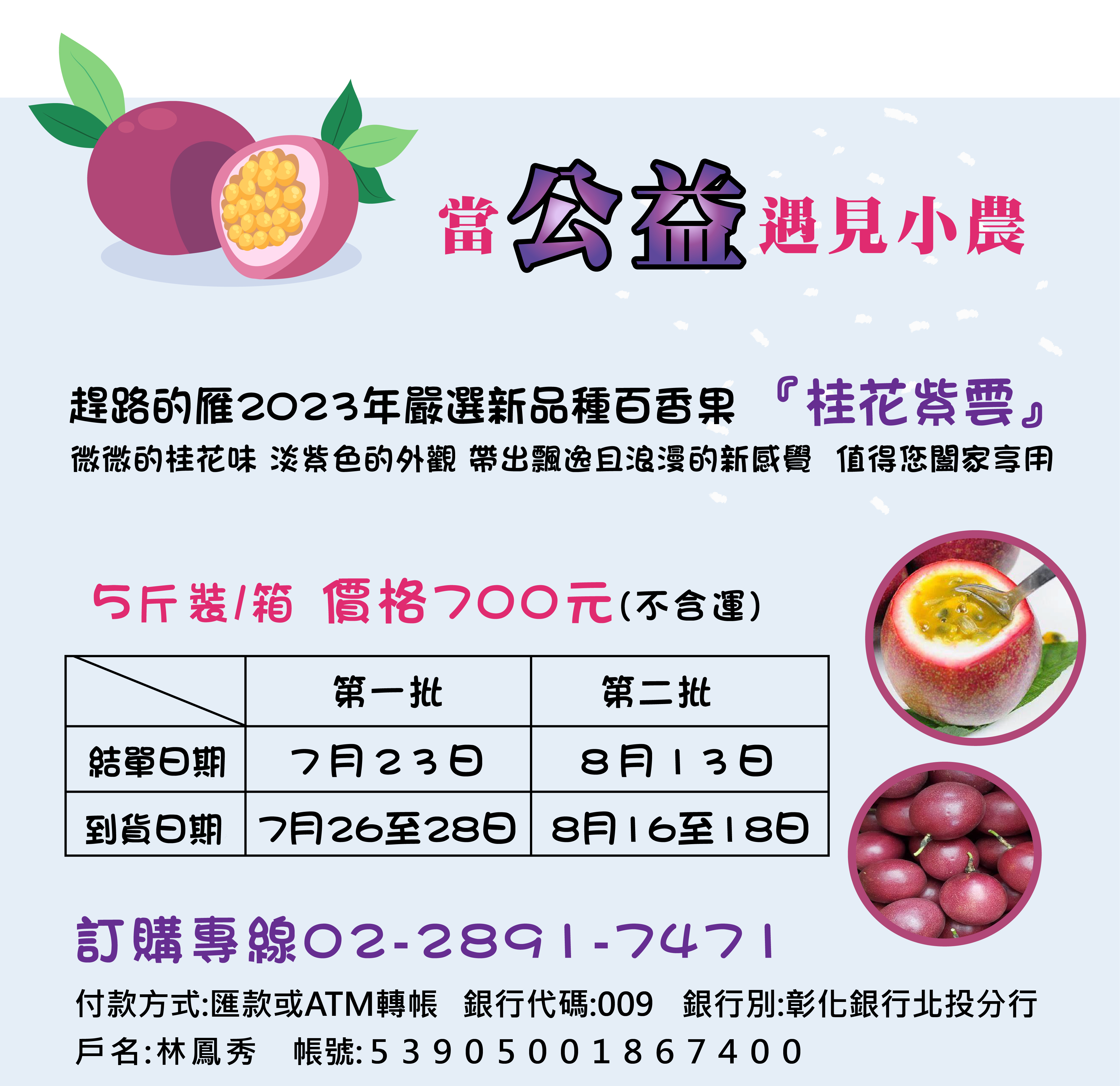 公益活動義賣-趕路的雁2023年新品種百香果嚴選 『桂花紫雲』